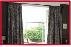 Plants: image 1 0f 4 thumb